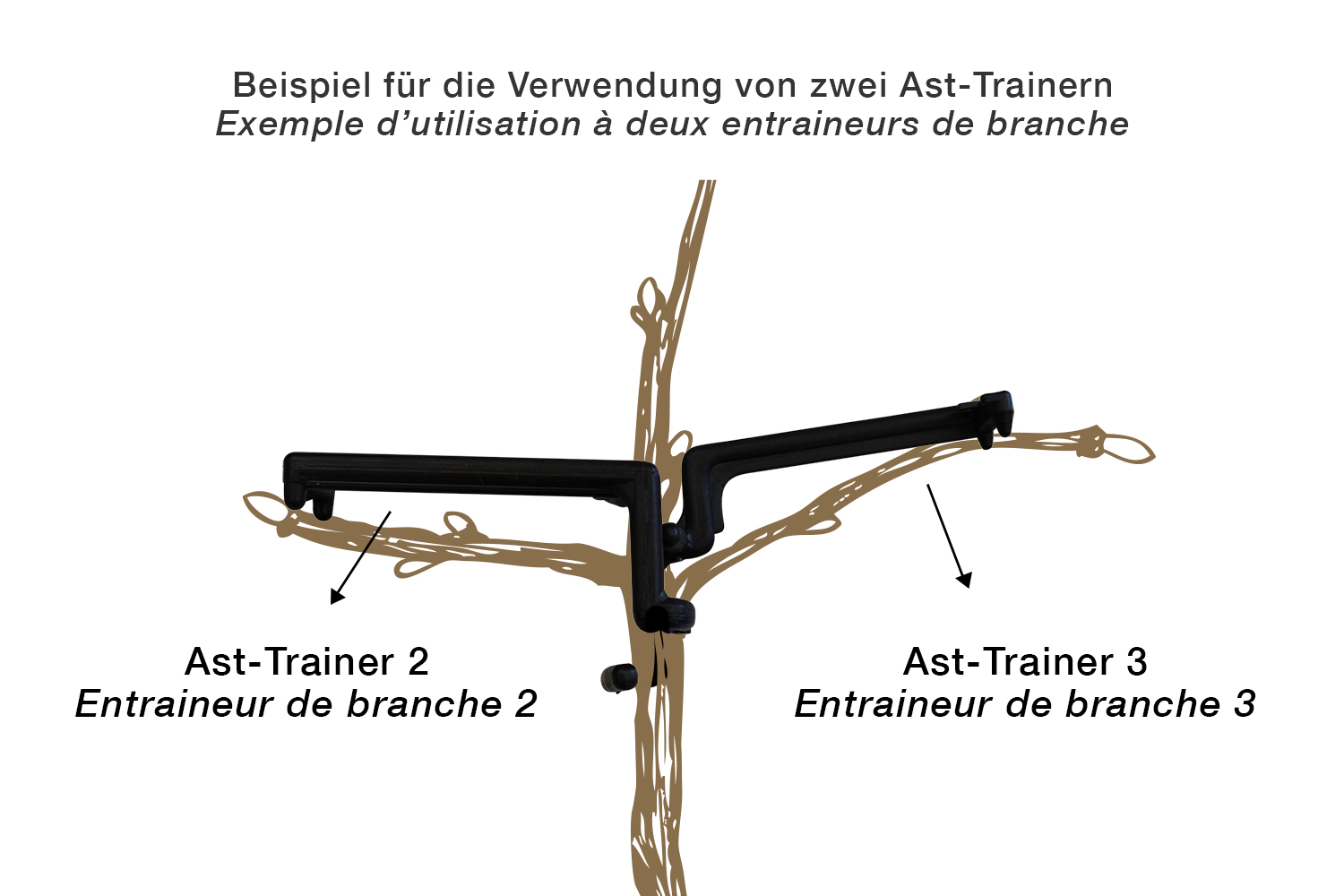 Ast-Trainer 3